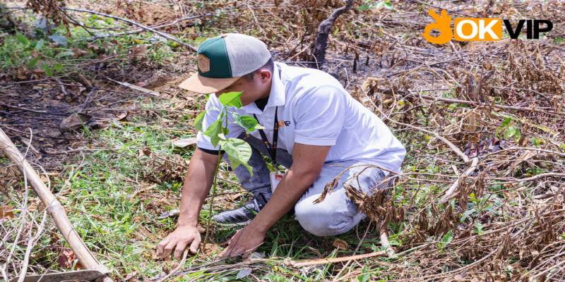 Ý nghĩa của dự án thiện nguyện OKVIP