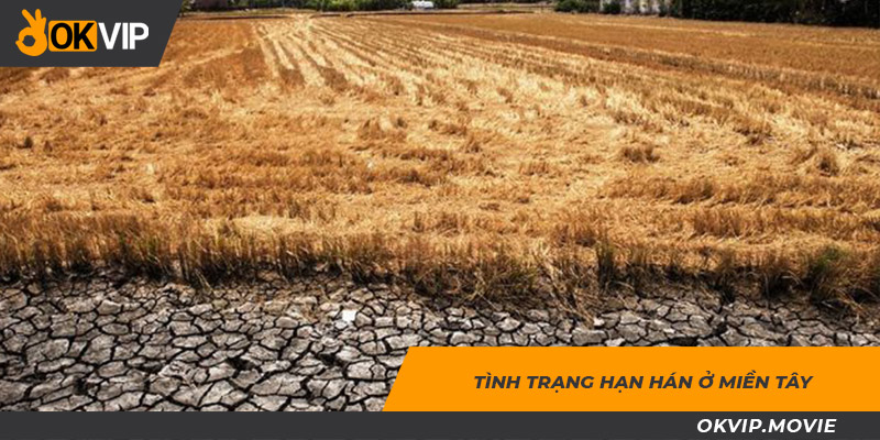 Sơ lược về tình hình hạn hán, ngập mặn tại miền Tây